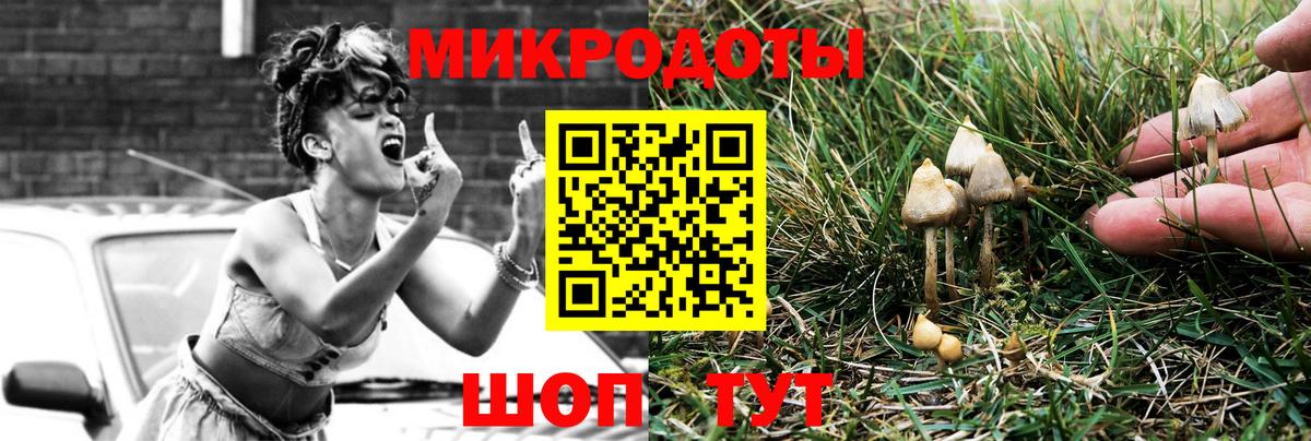 Псилоцибиновые грибы GOLDEN TEACHER Орёл
